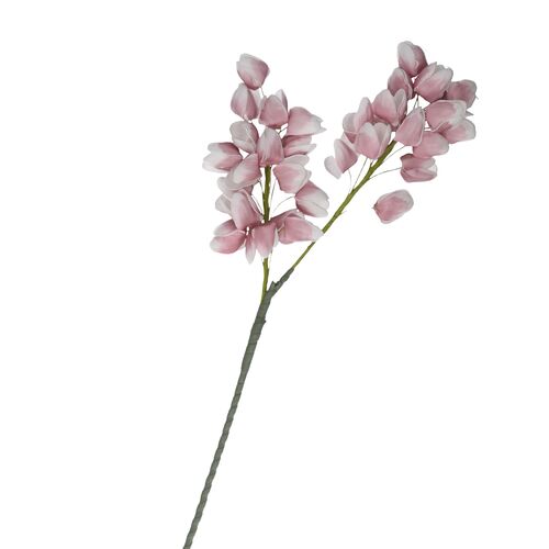 Flora Rosa Chichingi Rituali Domestici Fiori H204400106