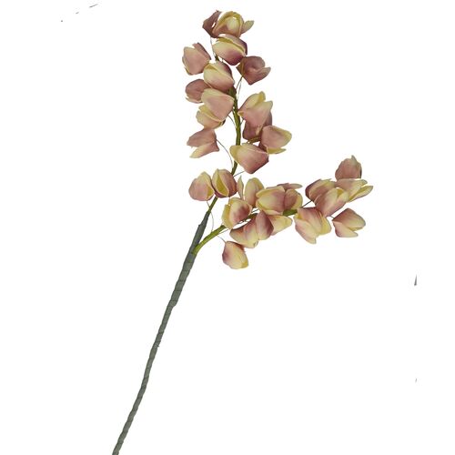 Flora Giallo Lilla Chichingi Rituali Domestici Fiori H204400107