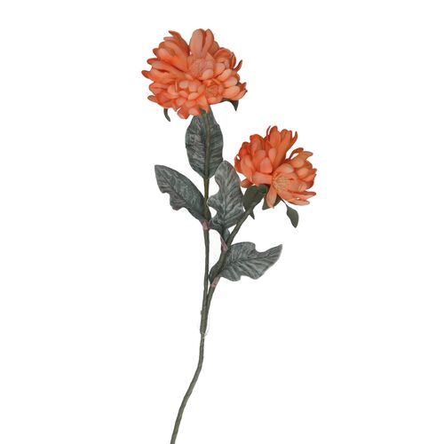 Flora Arancio Cliva Rituali Domestici Fiori H204400113