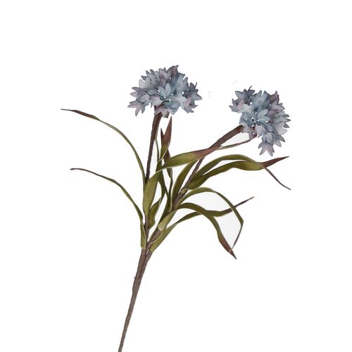 Flora Lilla Bromelia Rituali Domestici Fiori H204400147