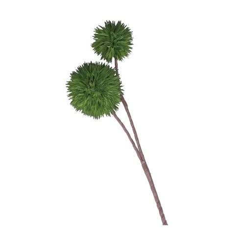 Flora Verde Dianthus Doppio Rituali Domestici Fiori H204400162
