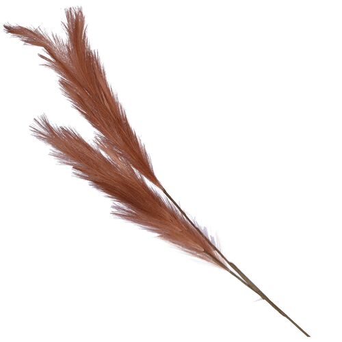 Flora Ruggine Pampas Doppia Rituali Domestici Fiori H204400190
