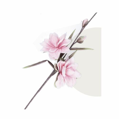 FLORA ROSA MAGNOLIA Rituali Domestici Oggetistica H204400232
