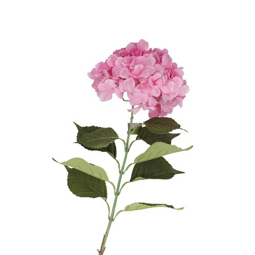 Fiorile Ortensia Rosa Thun Fiori H218200007