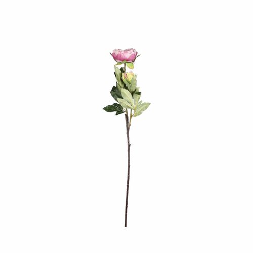 Fiorile Peonia Rosa Thun Oggetistica H218200010