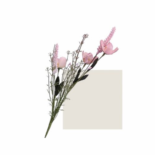 QUELMAZZOLINDIFIORI ROSA AURORA Rituali Domestici Oggetistica H224900016