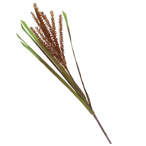 Flora Ruggine Avena Rituali Domestici Fiori H204400191