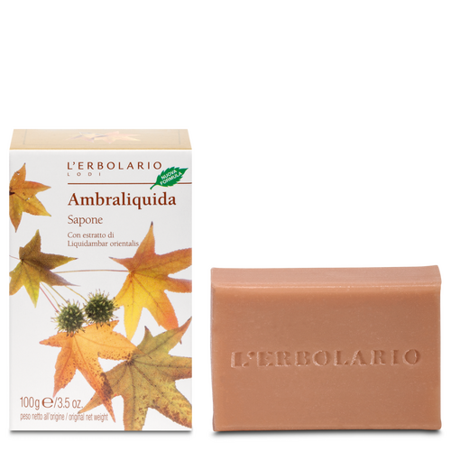 Ambraliquida Sapone 100 g L'Erbolario Saponi ERB041.001