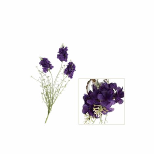 Quelmazzolindifiori Violaciocca Viola Thun Fiori H224900415