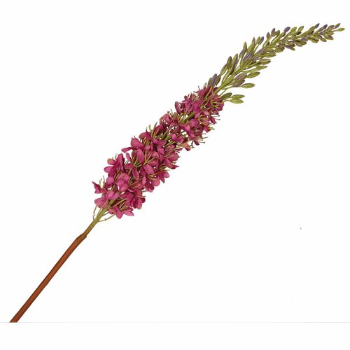 Fiorile Eremurus Lilla Thun Fiori U30290103U00