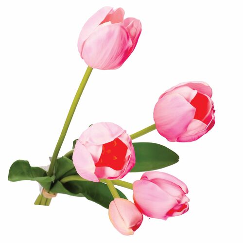 Anna Mazzo Tulipani Fucsia Stelo Thun Oggetistica U30311102U00