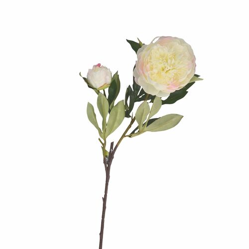 Fiorile Peonia Bianca Thun Oggetistica H218200009