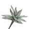 Flora Argentea Aloe Rituali Domestici Fiori H204400037