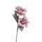 Flora Bianco Rosa Mirabel Rituali Domestici Fiori H204400127