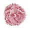 Flora Rosa Bigpeonia da Appendere M Rituali Domestici Fiori H204400141