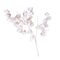 Flora Bianco Glitter Oro Chichingi Rituali Domestici Fiori H204400172