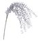 Giardino Lilla Glicine Rituali Domestici Fiori H212700003