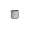 Paladino Vaso Decorativo Largo Rituali Domestici Vasi H220900002
