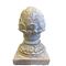 Pigna Natural Wood Orchidea Decorazioni casa ORC56.3169