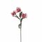 FLORA ROSA ANEMONE Rituali Domestici Fiori H204400065