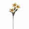 FLORA GIALLO ANEMONE Rituali Domestici Fiori H204400067