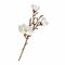 MAGGIE MAGNOLIA BIANCA 3 FIORI Thun Fiori H216600002