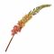 Fiorile Eremurus Rosa Thun Fiori U30289103U00