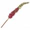 Fiorile Eremurus Lilla Thun Fiori U30290103U00