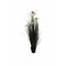 Piantala Rudbeika M D 13 Thun Fiori 20U30316121U00